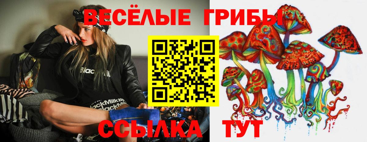 Галлюциногенные грибы Psilocybe Северодвинск